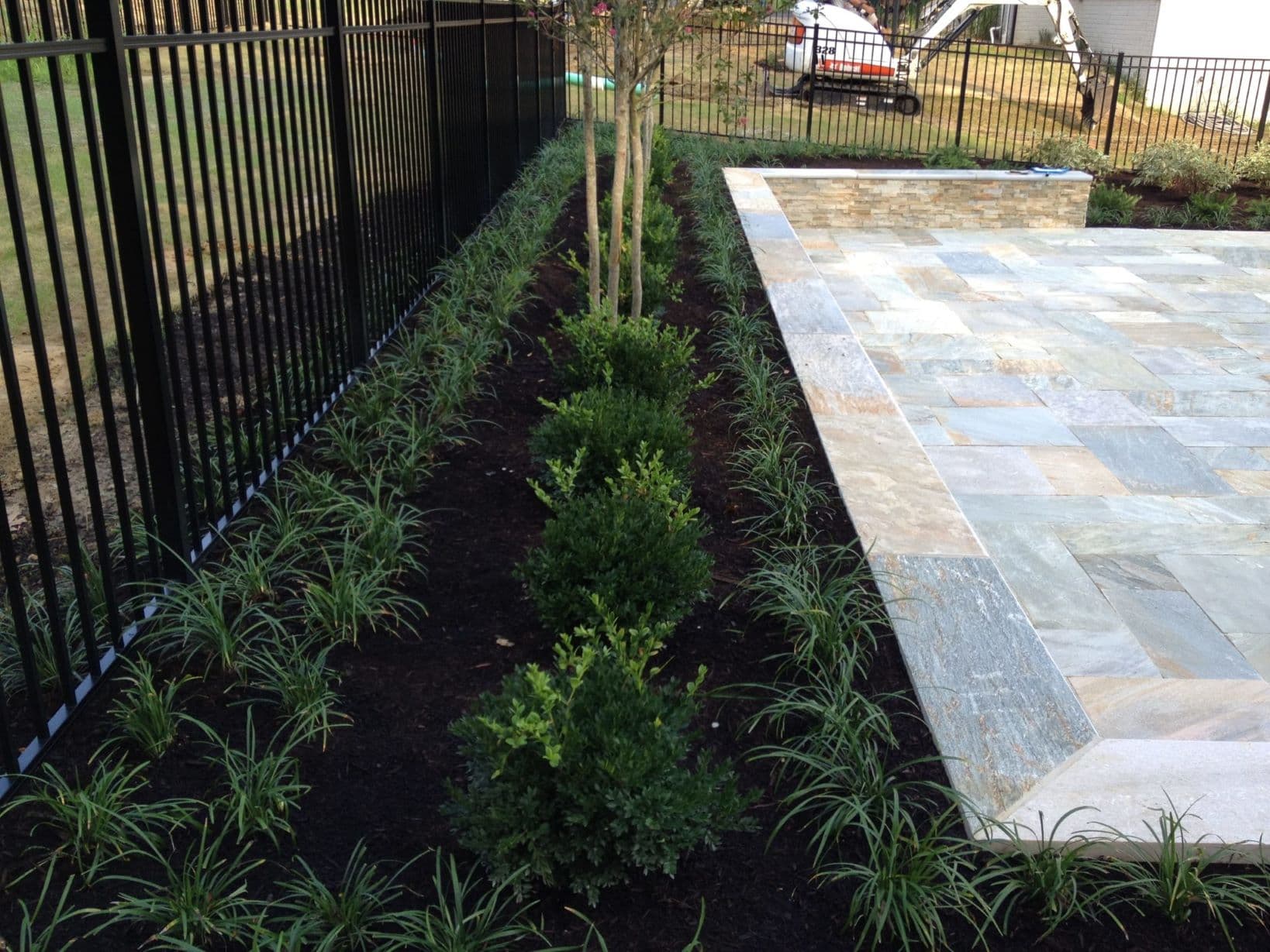 Stone patio and newly planted privacy edge