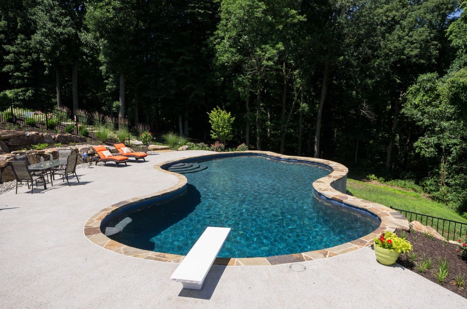 Wooded freeform pool set against a private tree line