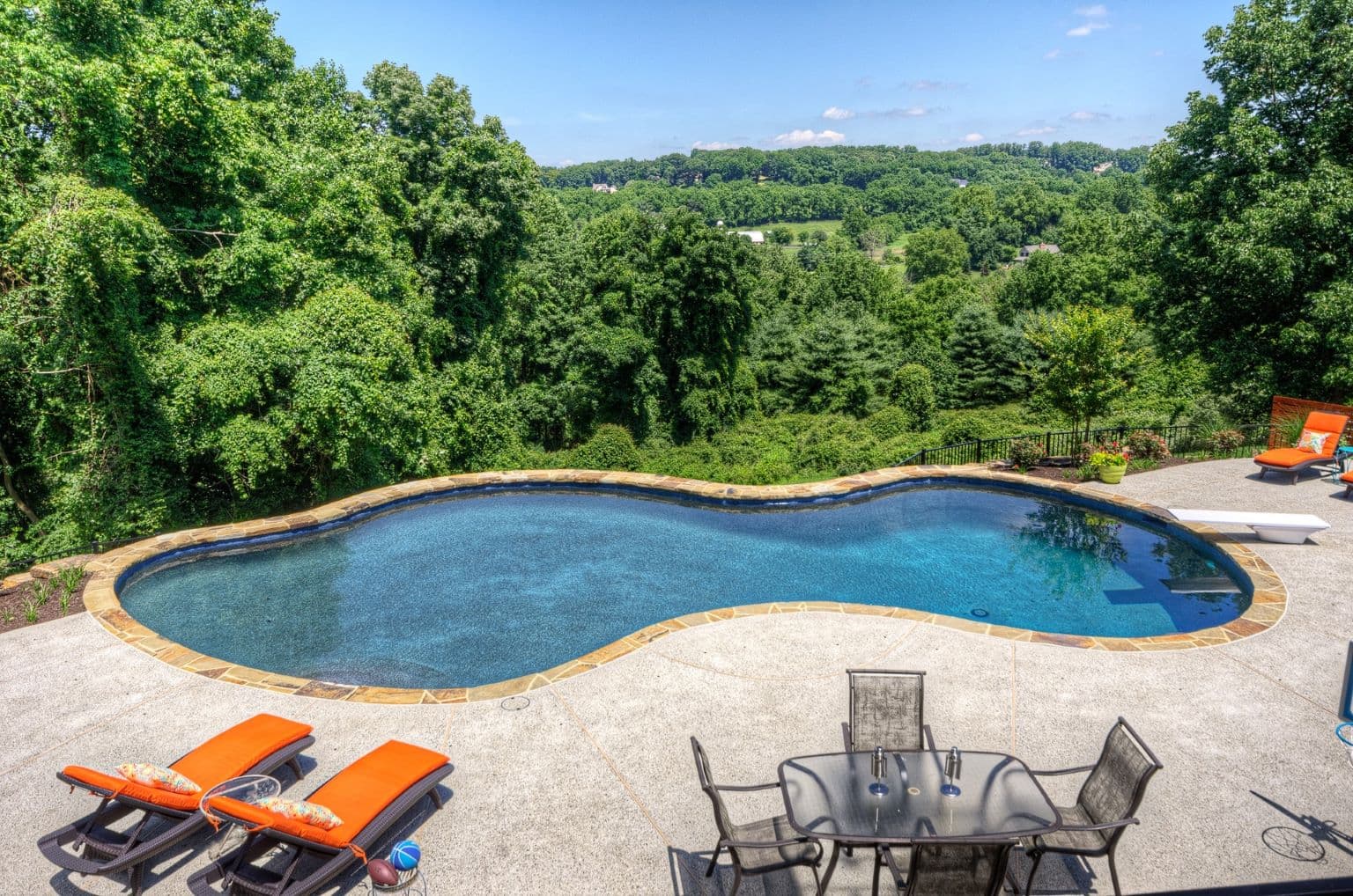 Integrated pool, patio, and landscape by Field of Dreams