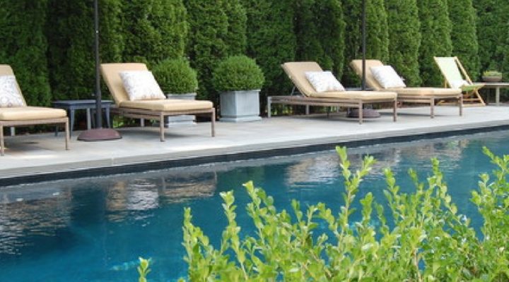 How to Landscape Around Your Pool
