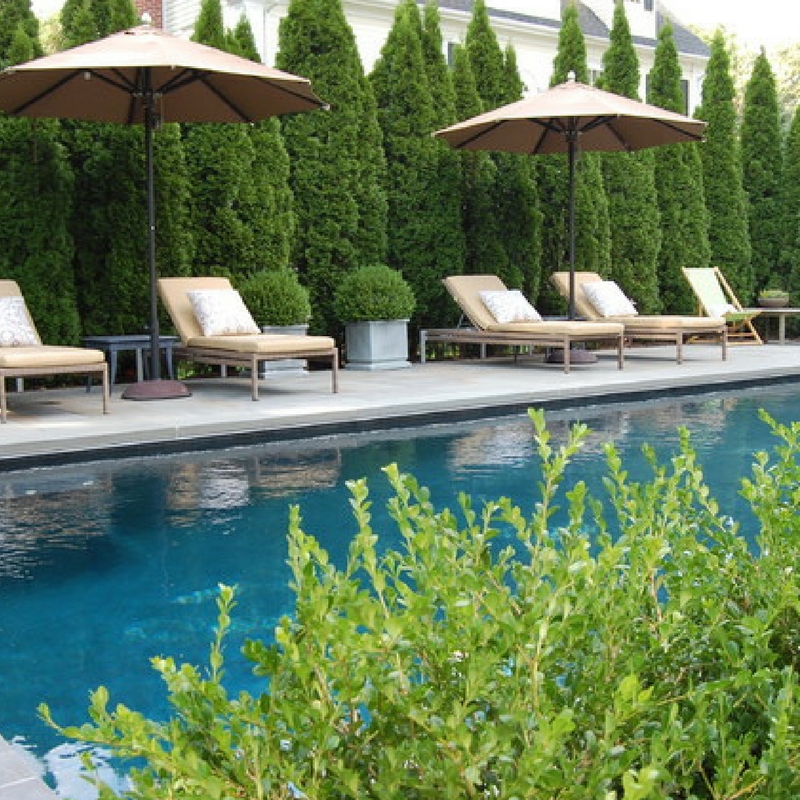 How to Landscape Around Your Pool