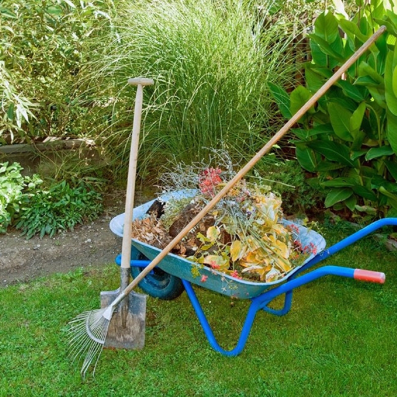 Tips for Spring Cleaning Your Yard & Garden