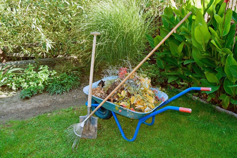 Tips for Spring Cleaning Your Yard & Garden