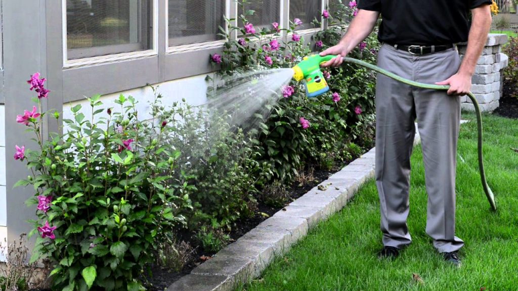 4 Tips for Maintaining Your Landscape in Summer