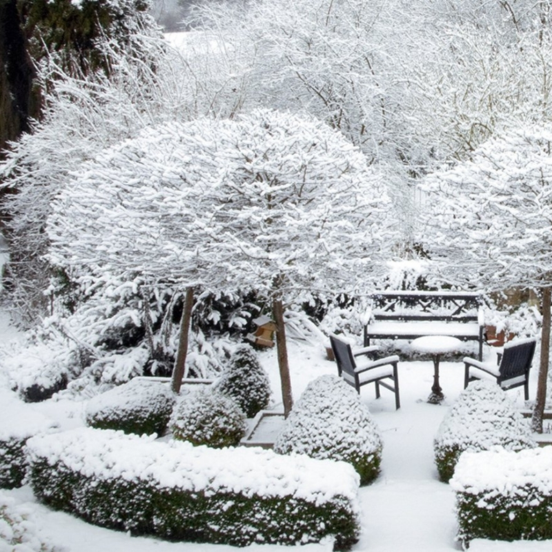 Ultimate Guide to Outdoor Living Spaces in Winter
